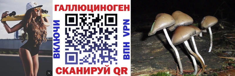 Галлюциногенные грибы MAGIC MUSHROOMS  Купить где  Алексеевка 