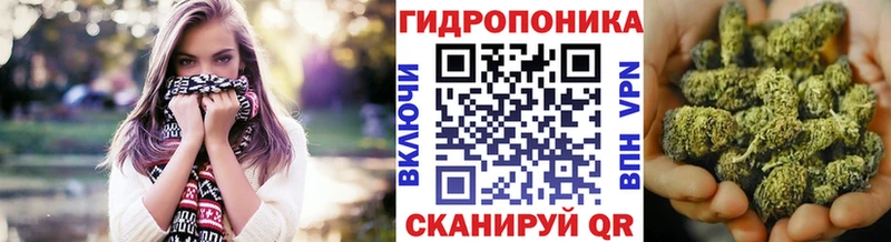 Купить где  Алексеевка  Бошки Шишки план 